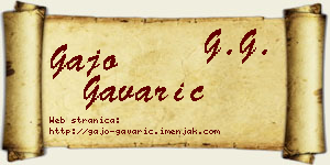 Gajo Gavarić vizit kartica